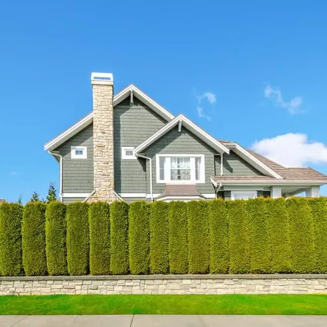 4 Reasons to Buy with Trees and Plants
