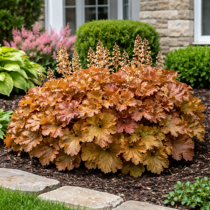 Orange Shrub with blooms in yard
