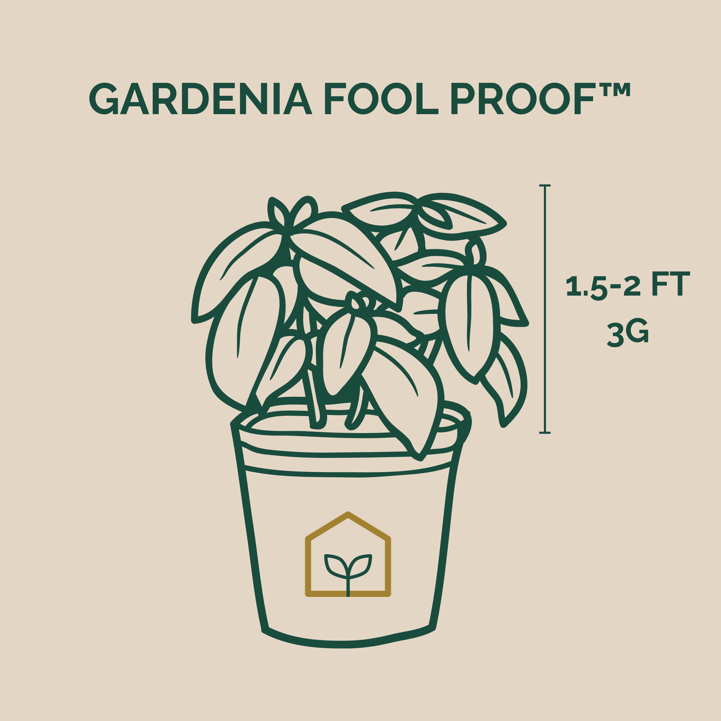 A beige graphic with the text 'GARDENIA FOOL PROOF™' above a simple line drawing of a potted gardenia plant.