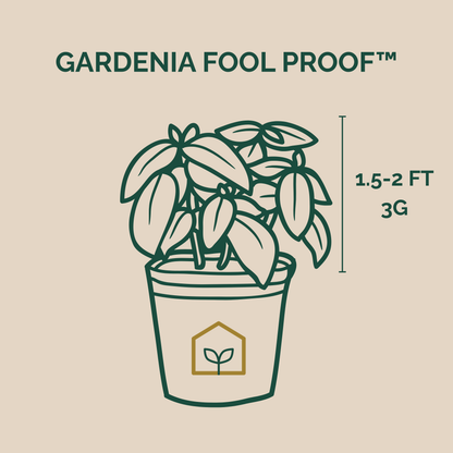 A beige graphic with the text 'GARDENIA FOOL PROOF™' above a simple line drawing of a potted gardenia plant.