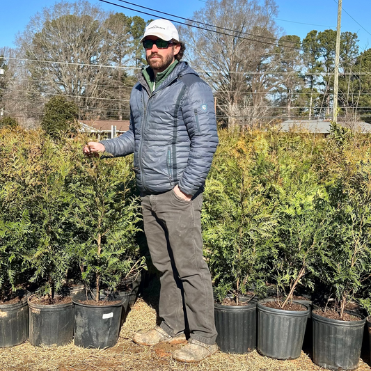 Man standing among potted trees in an outdoor setting with a clear blue sky.