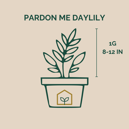 Pardon Me Daylily