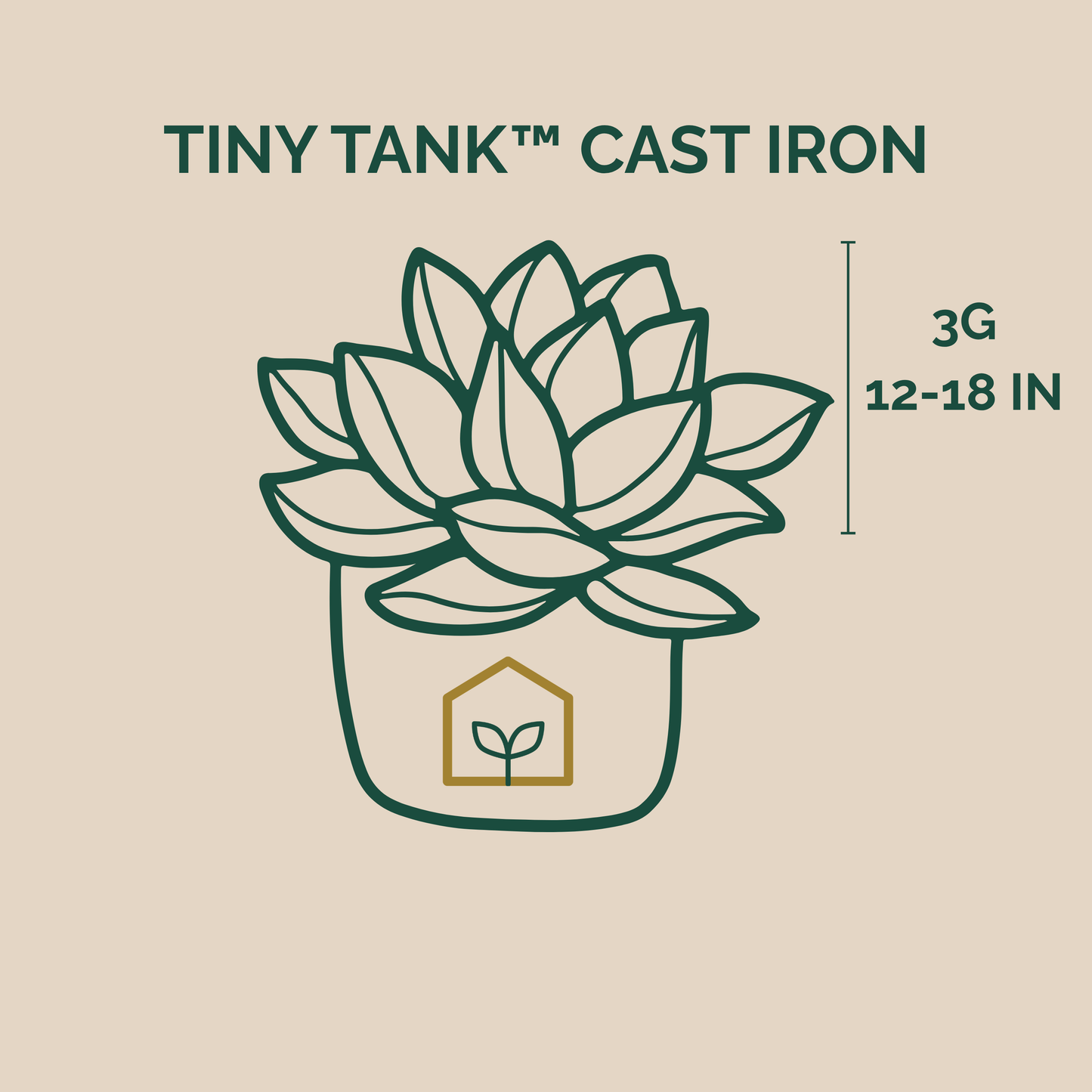 Illustration of a succulent plant in a Tiny Tank Cast Iron pot with dimensions on a beige background.