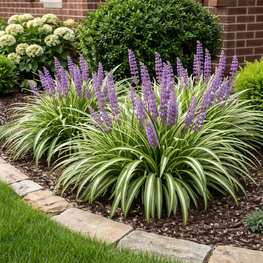 Green plant with purple blooms and brick behind